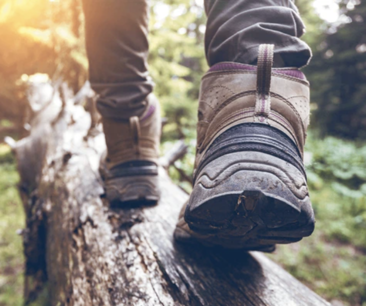 Person wearing hiking boots crossing a fallen log
